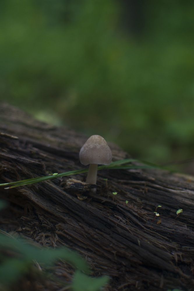 Photograph by Мария Мальцева