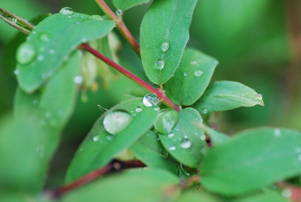 Photograph by Оксана Трофименко