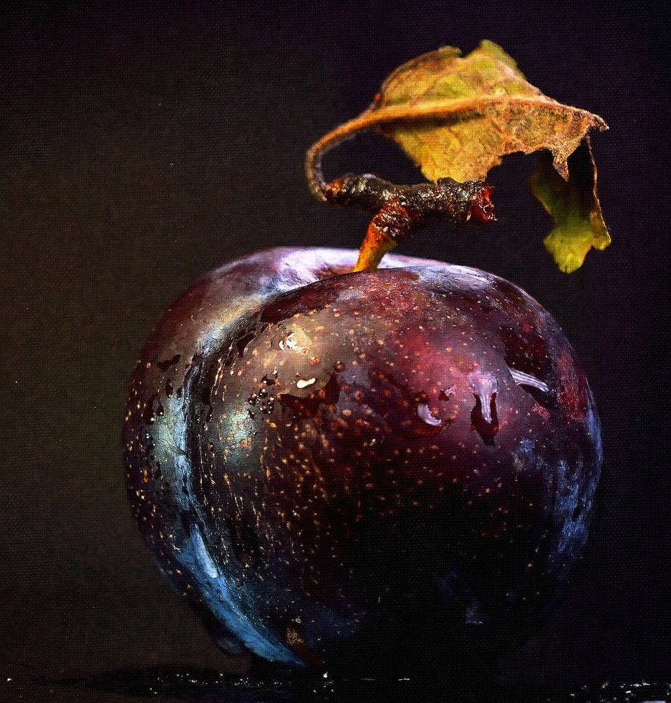 Photograph by Александр Ниткин