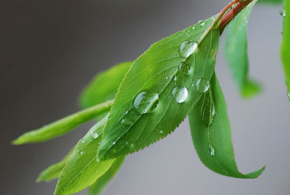 Photograph by Оксана Трофименко