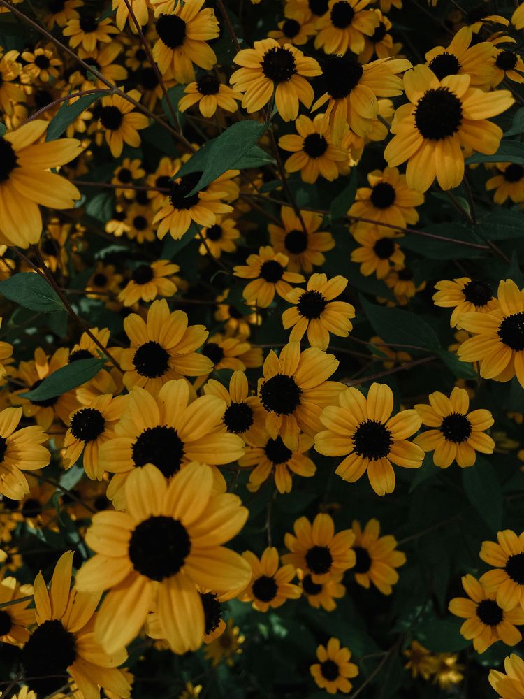 Фотография автора Oxana Yurasova