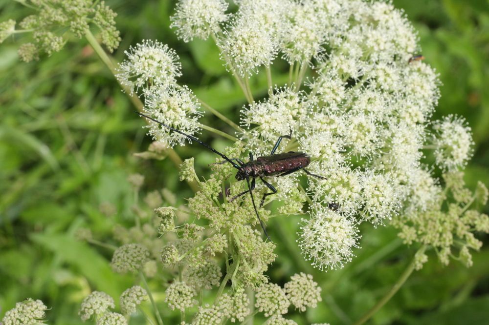 Photograph by Светлана Соколова