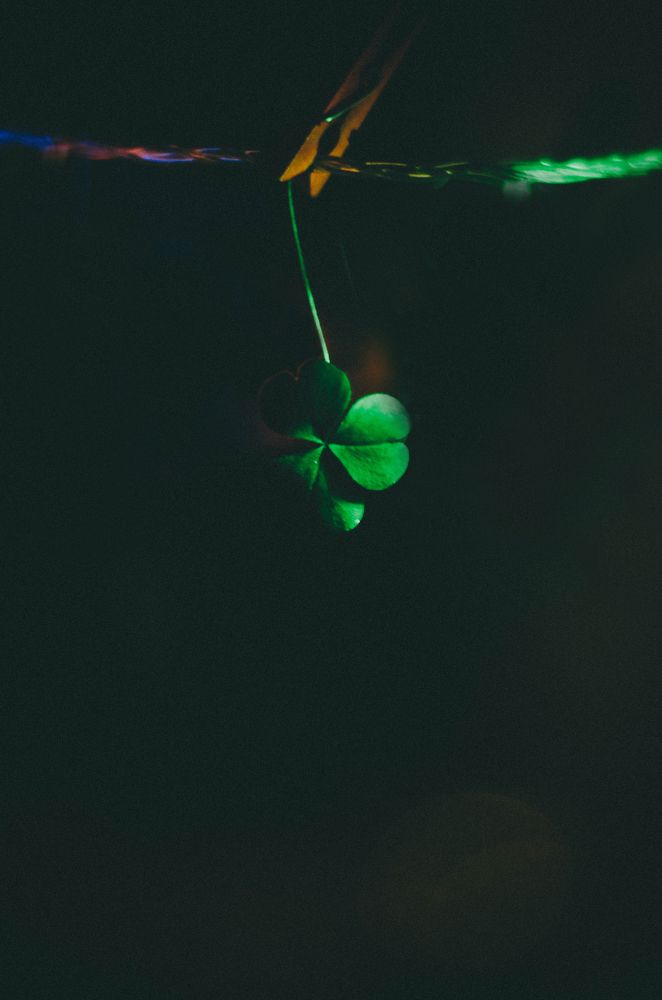 Photograph by Иван Коваленко