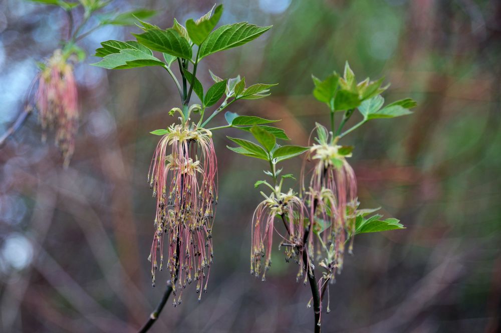 Photograph by Оксана Астрова