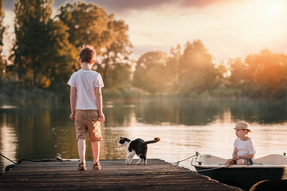 Summer night on the boat