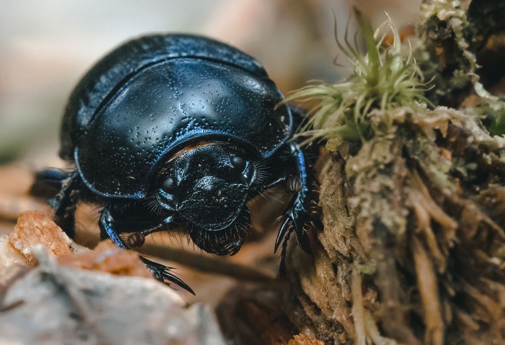 Photograph by Виталий Богачев