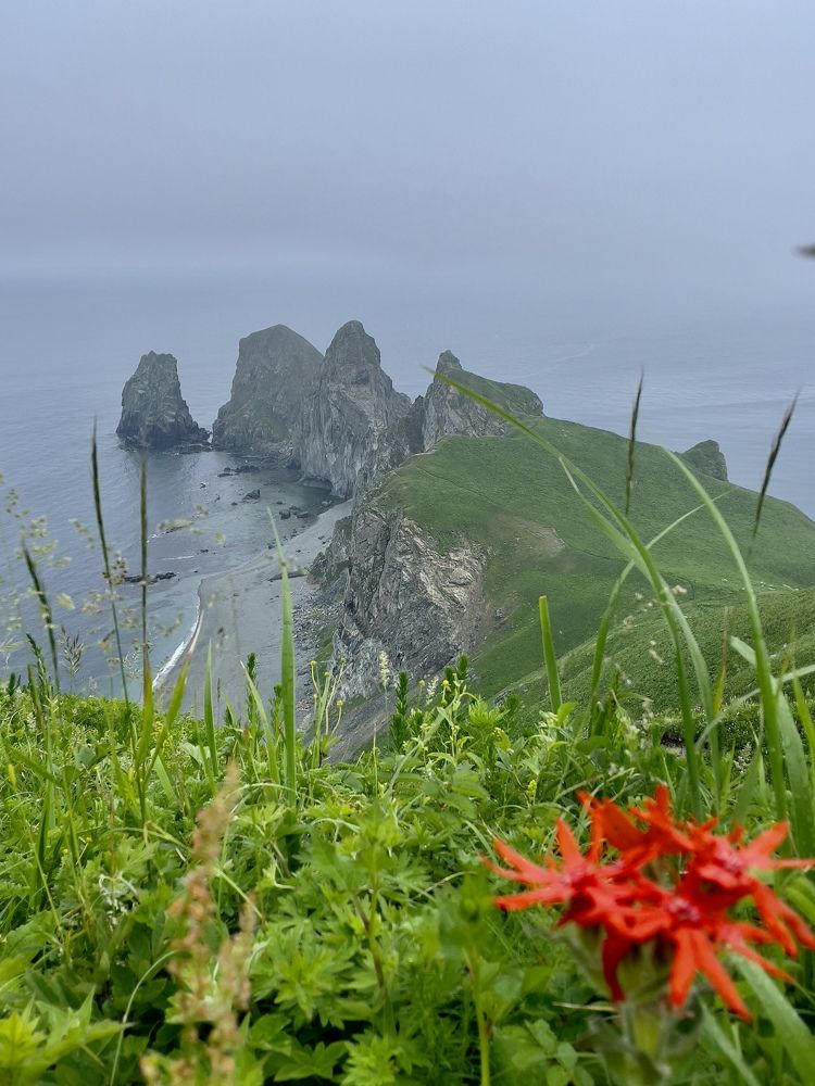 Фотография автора Юлия Недосекина