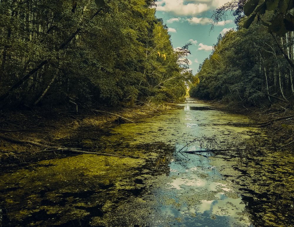 Photograph by Оксана Двойникова