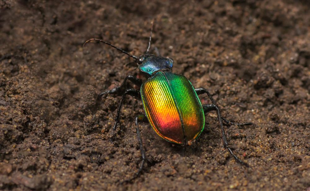 Photograph by Тараненко Анжелика