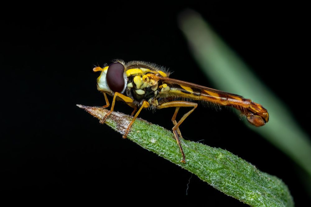 Photograph by Глеб Коровко