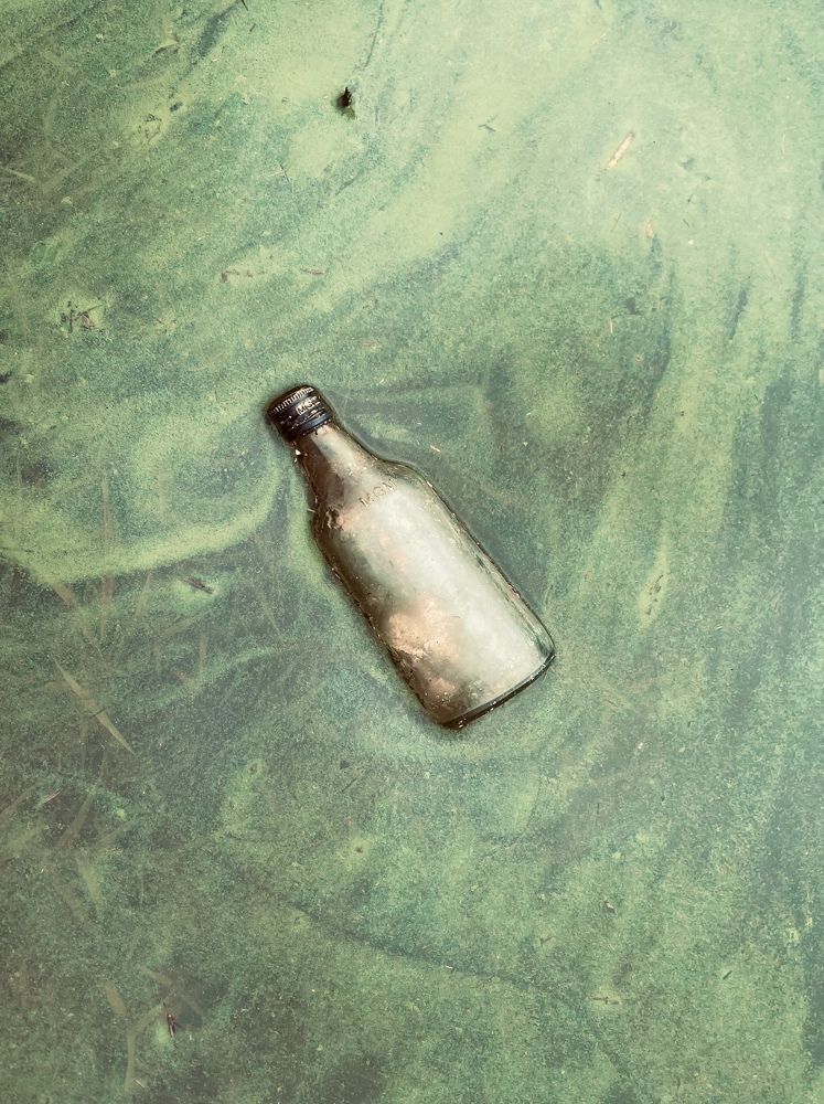 Photograph by R S Gokul kishan K