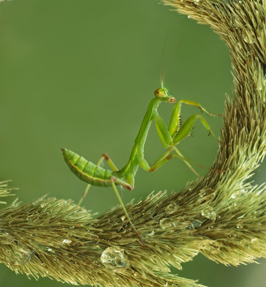 Photograph by Тараненко Анжелика