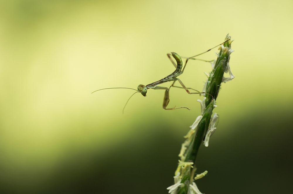 Photograph by Тараненко Анжелика