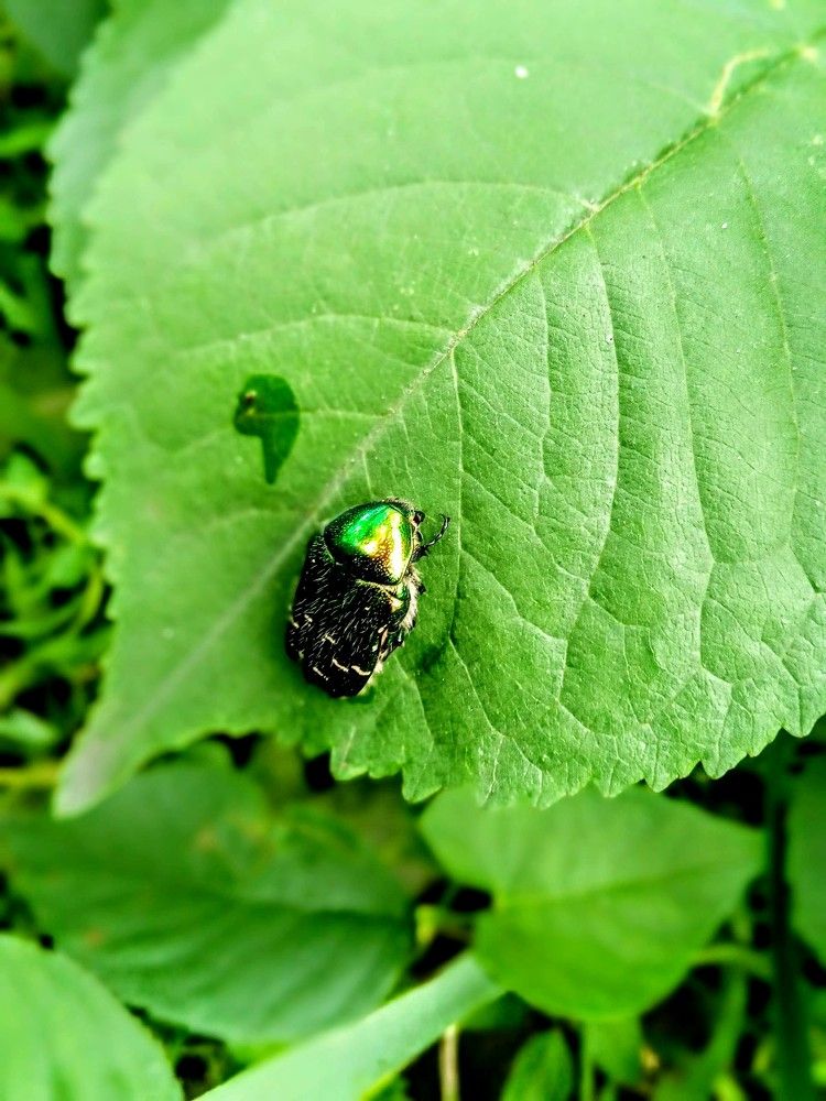 Photograph by Татьяна Пальчикова