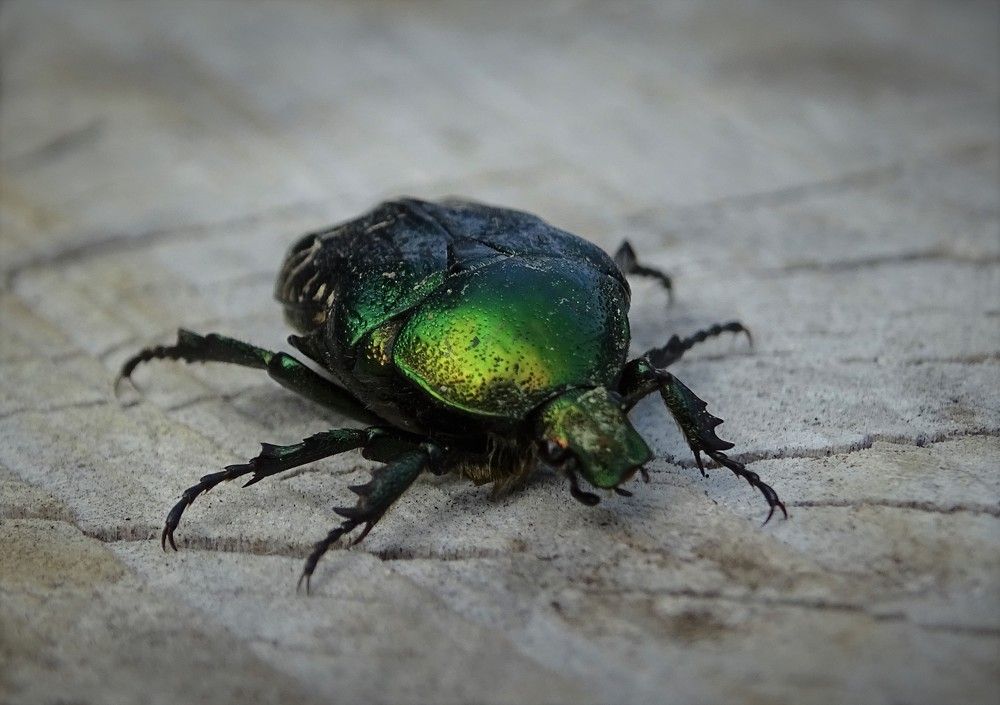 Photograph by Стас Неклюдов