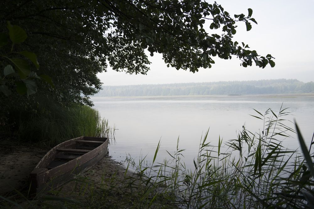 Photograph by косяк