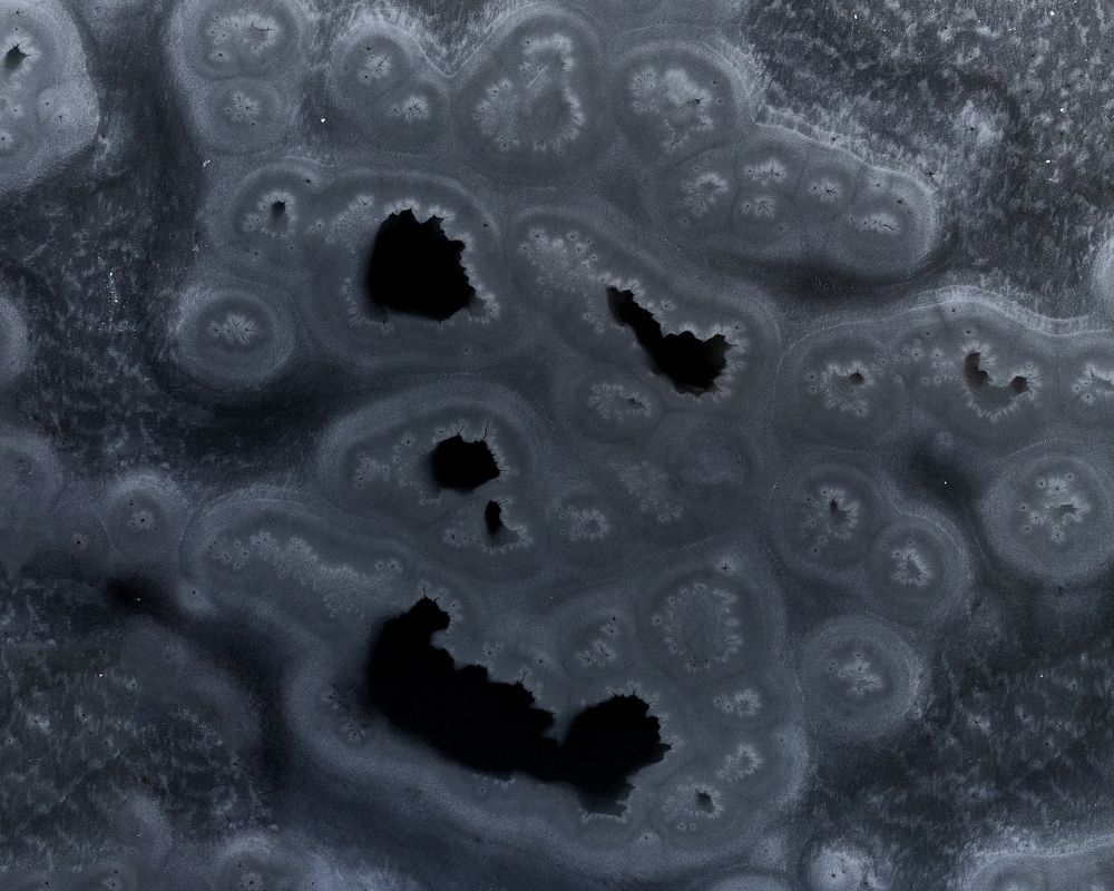 Фотография автора Мартыненко Дмитрий