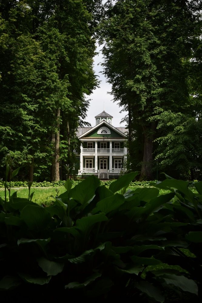 Photograph by Alex Orlov