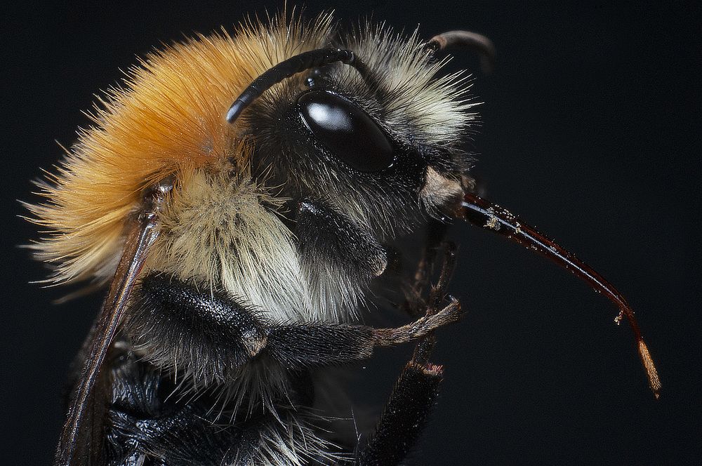 Фотография автора Renat Mansurov