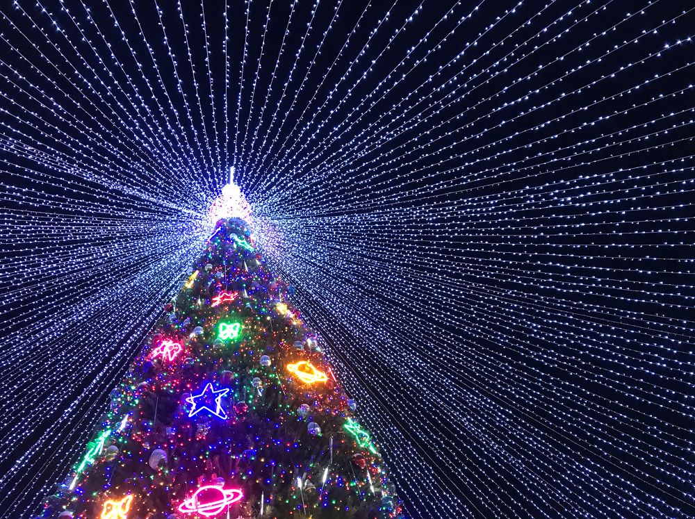 Photograph by Олег Терешкин