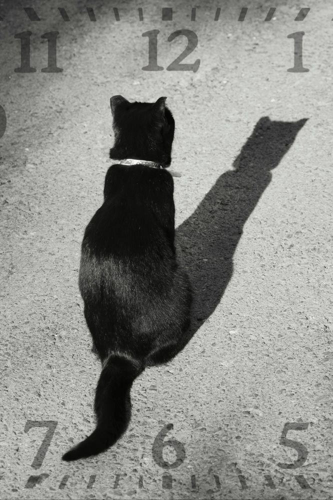 Photograph by Михаил Мостовой