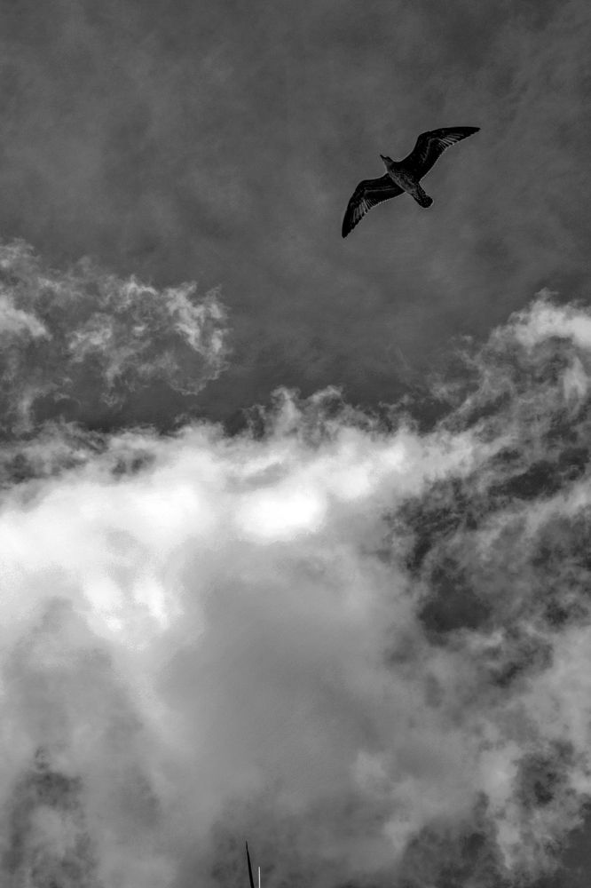 Photograph by SIMONE CIULLI