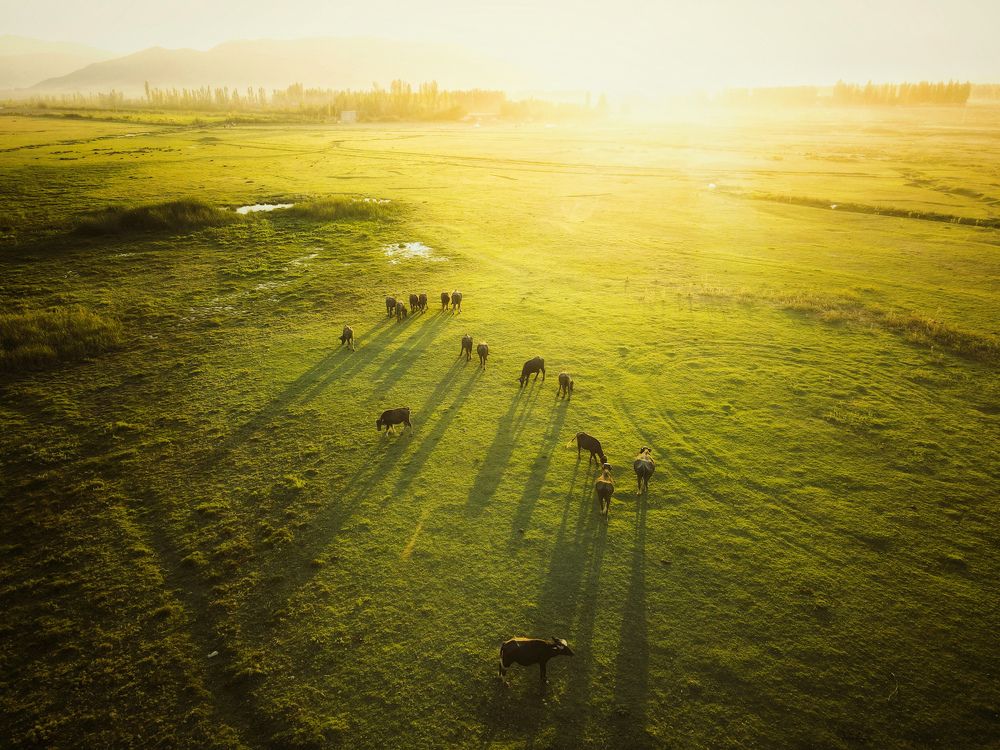 Photograph by Parviz Alilou