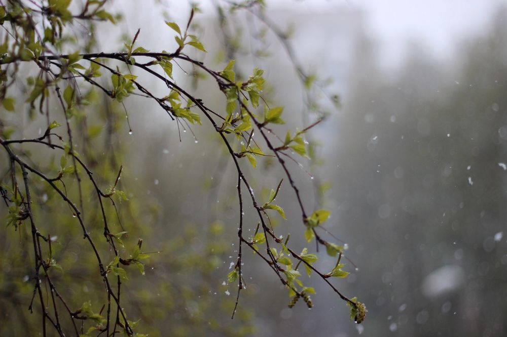 Photograph by Елена Петрова