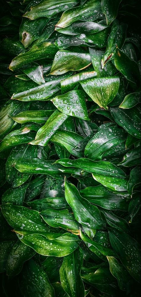 Photograph by Марина Аненко