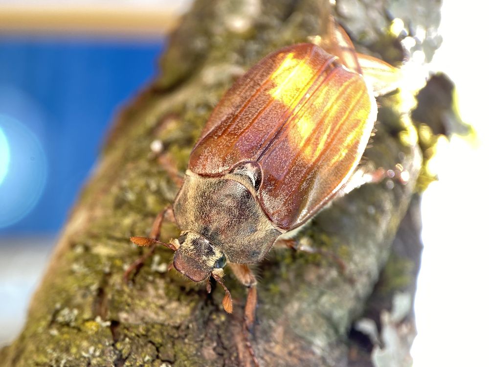 Photograph by Екатерина Бердутина