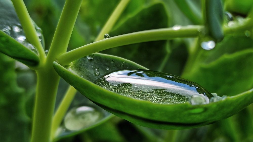 Photograph by Новикова Елена Сергеевна