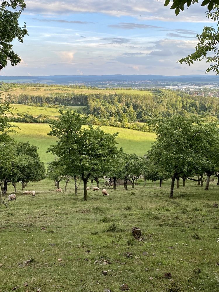 Photograph by Yana Ofitserova