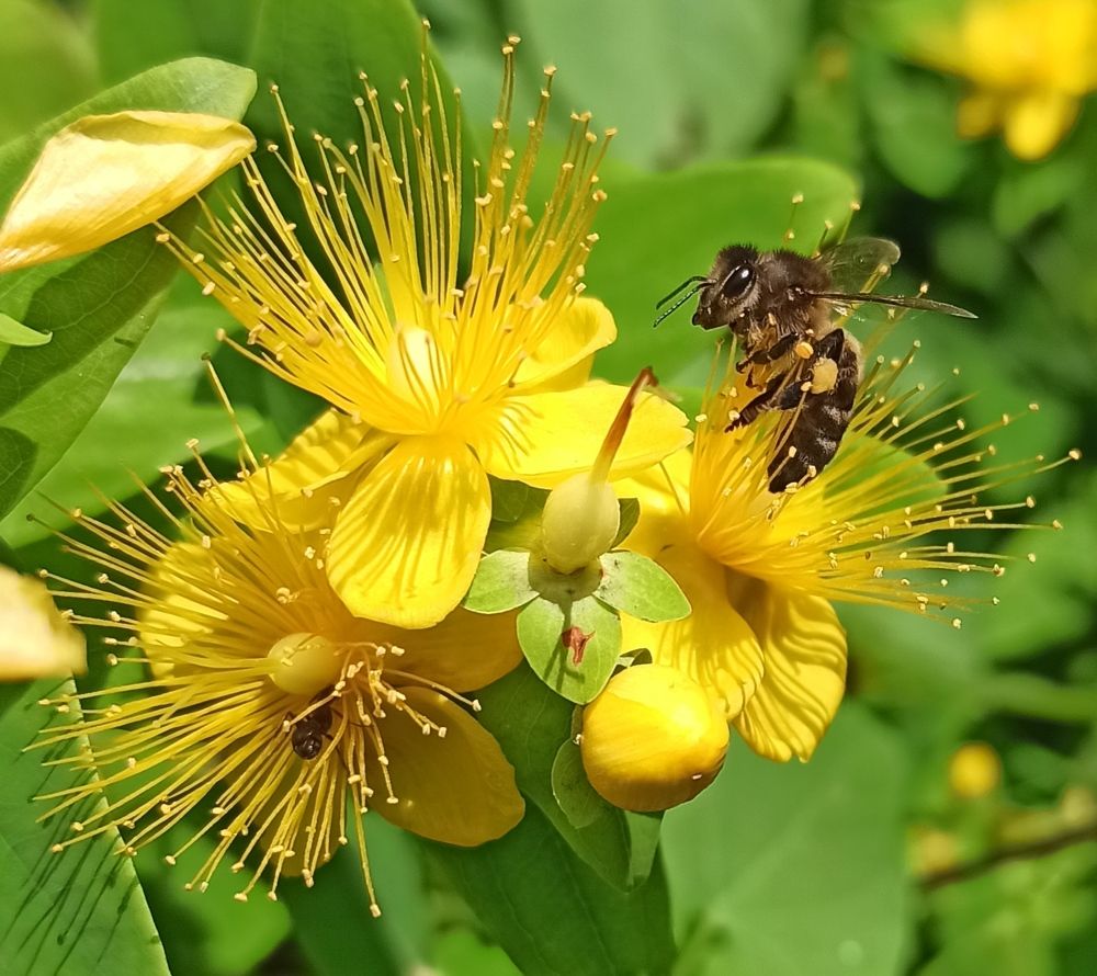 Photograph by Тихонова Ольга