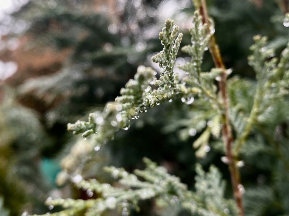 Photograph by Yana Ofitserova