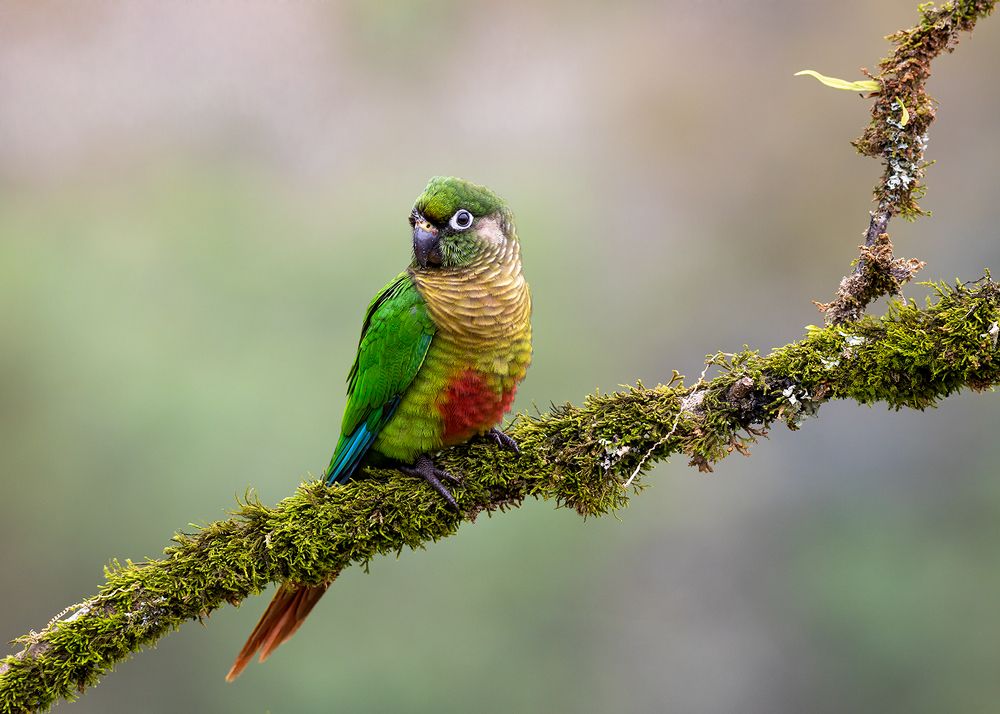 Photograph by Valdir Hobus