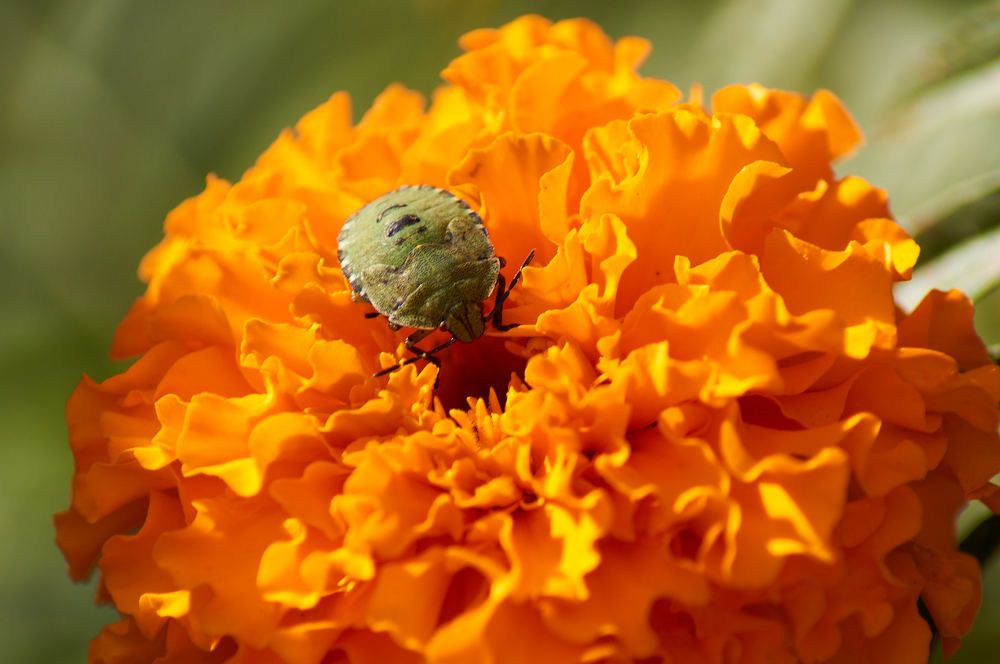 Photograph by Igor Kochkin