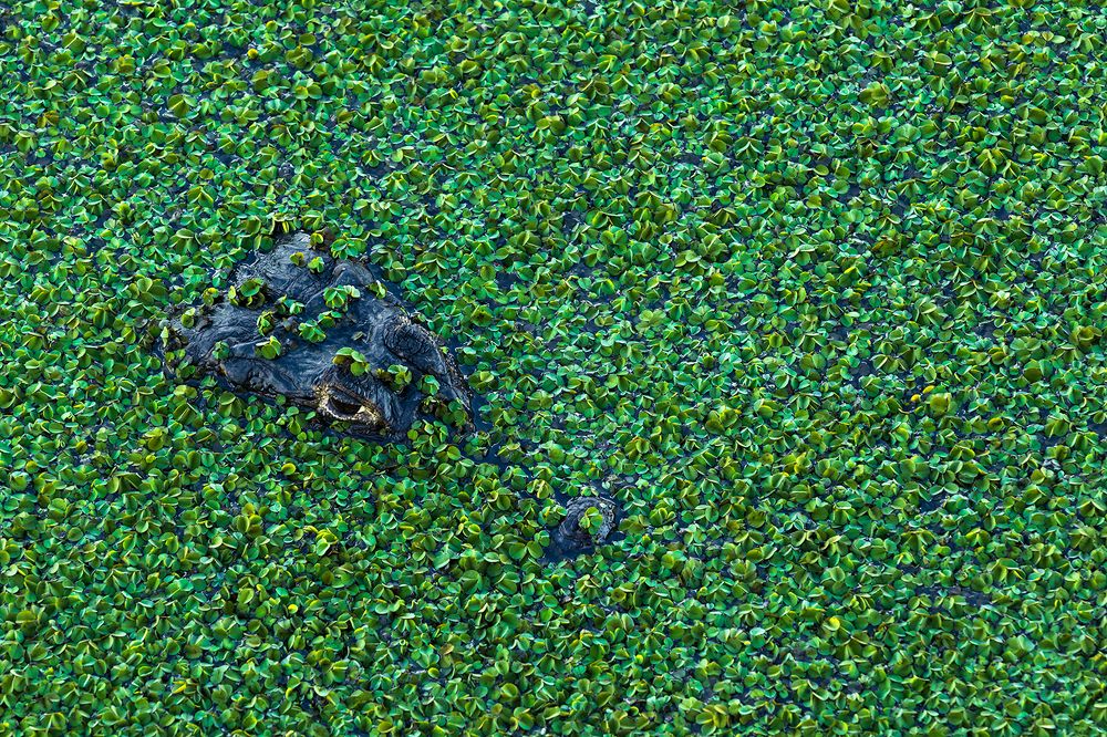 Photograph by Valdir Hobus