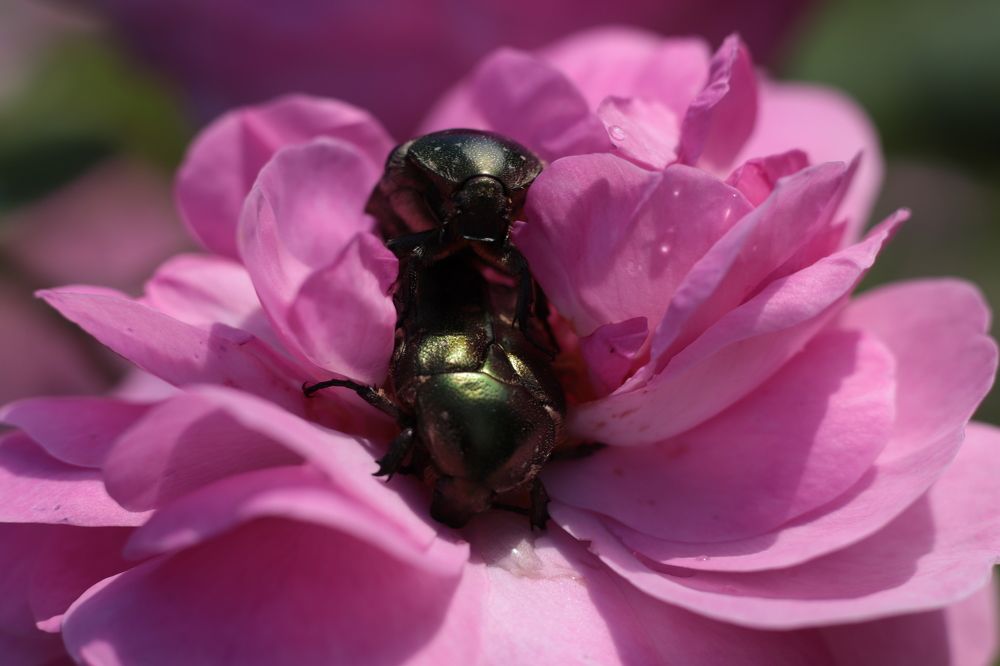 Photograph by Светлана Соколова