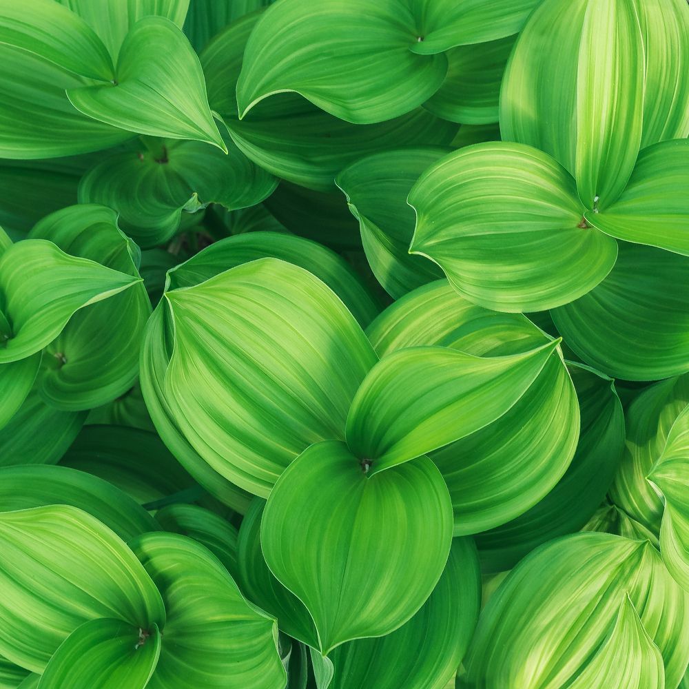 Фотография автора Тимофей Трямкин