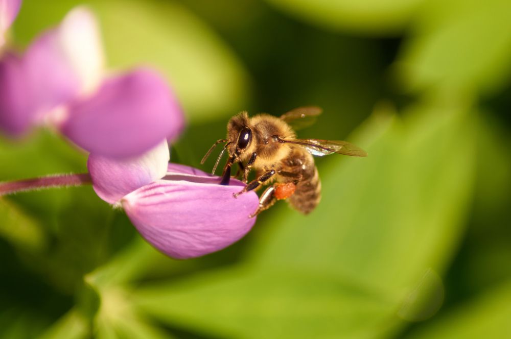 Photograph by Igor Kochkin