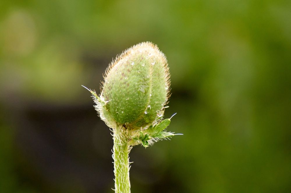 Photograph by Igor Kochkin