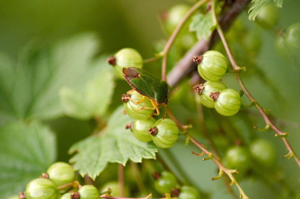 Photograph by Igor Kochkin