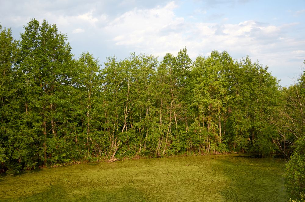 Photograph by Igor Kochkin