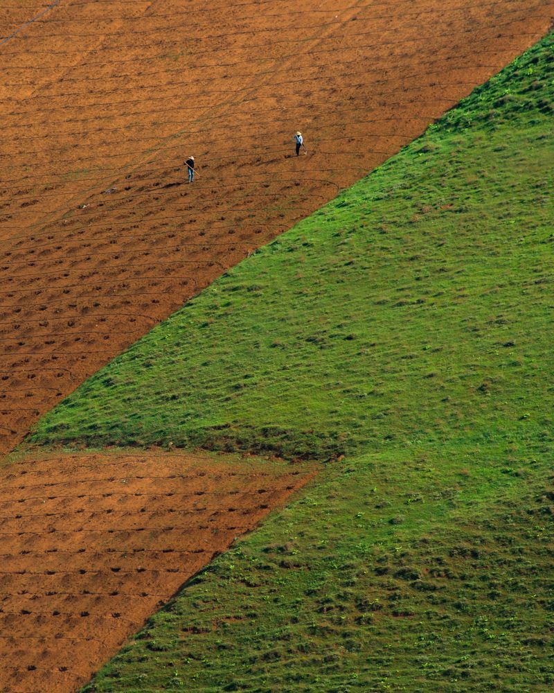 Фотография автора Alipour mohammad