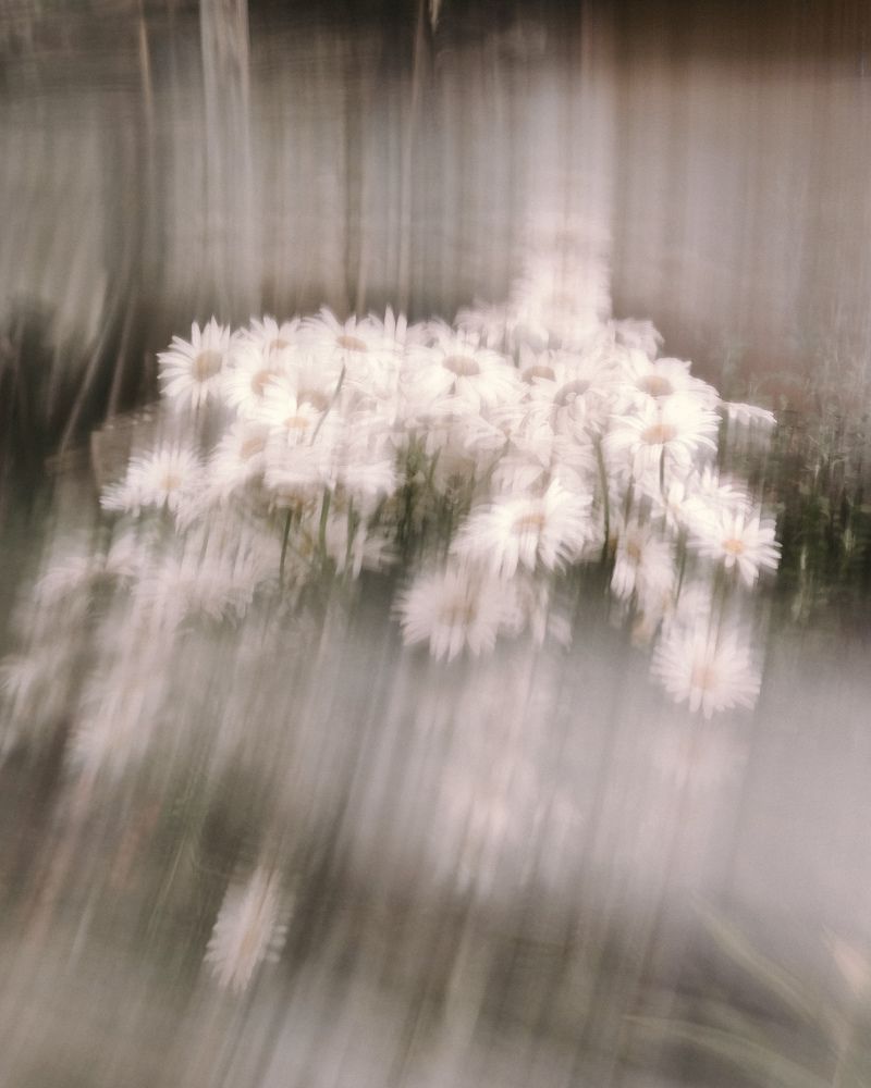 Photograph by Юлия Плаксина