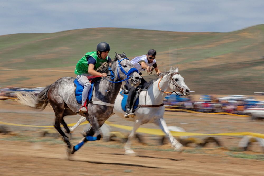 Photograph by mohammadreza behmaram