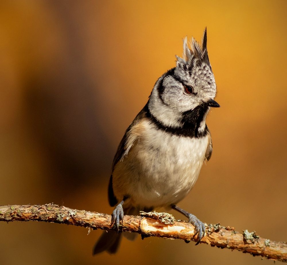 Photograph by Павел Краснослободцев