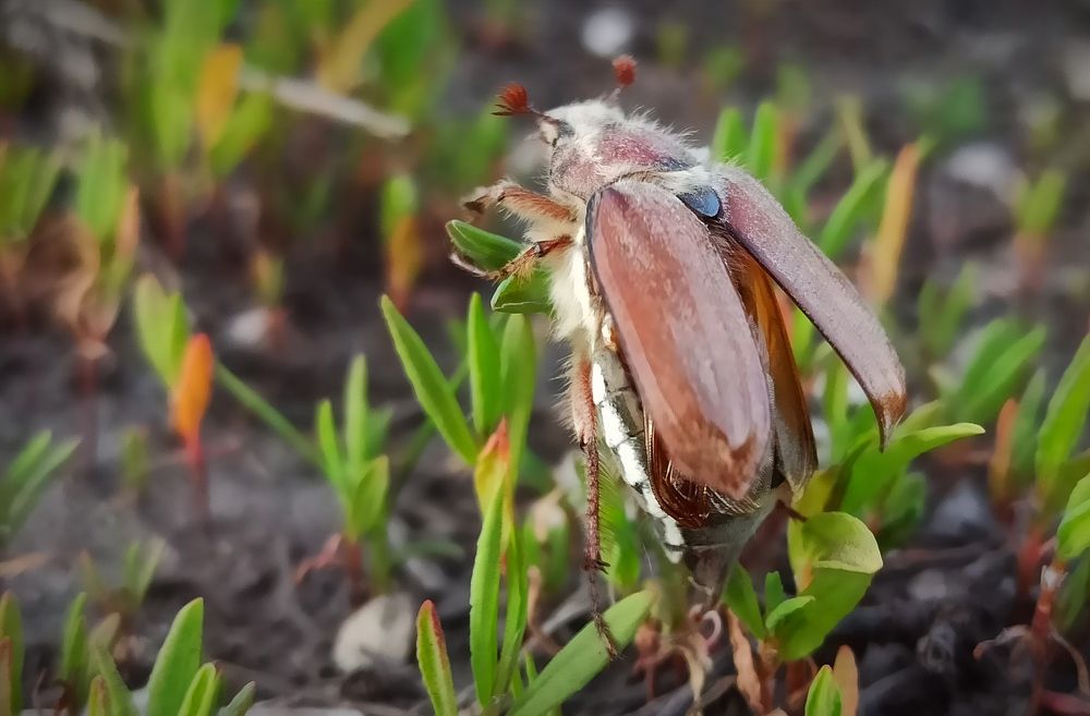 К полету готов