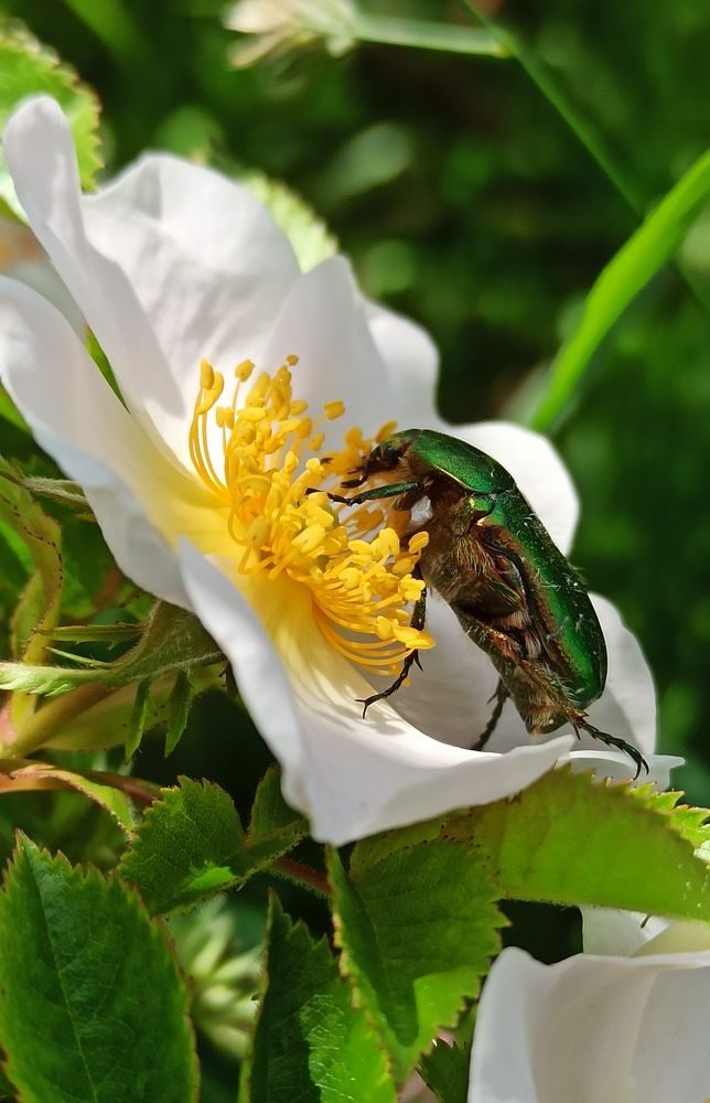 Photograph by Новикова Елена Сергеевна