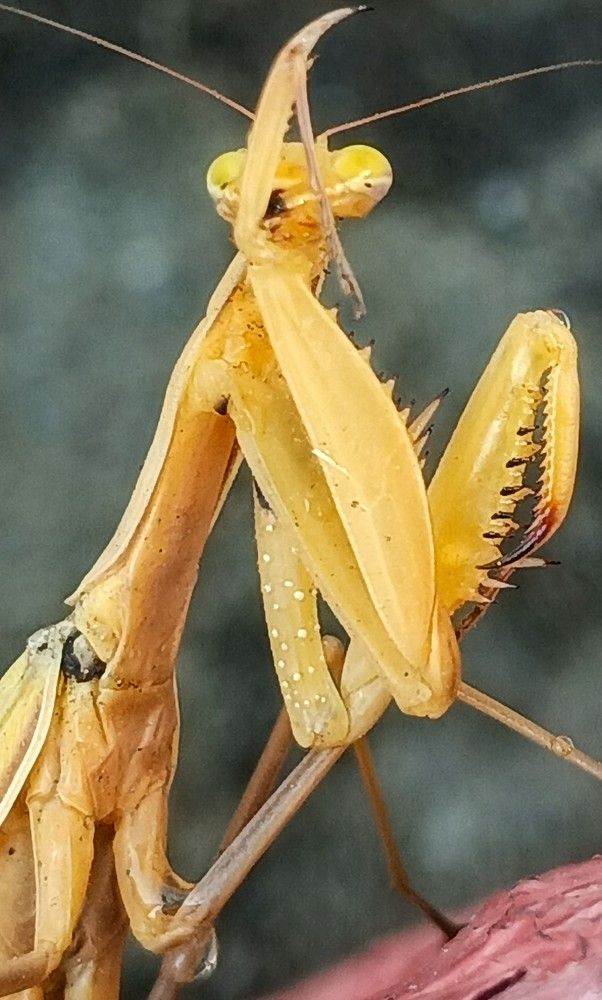 Photograph by Светлана Терехова